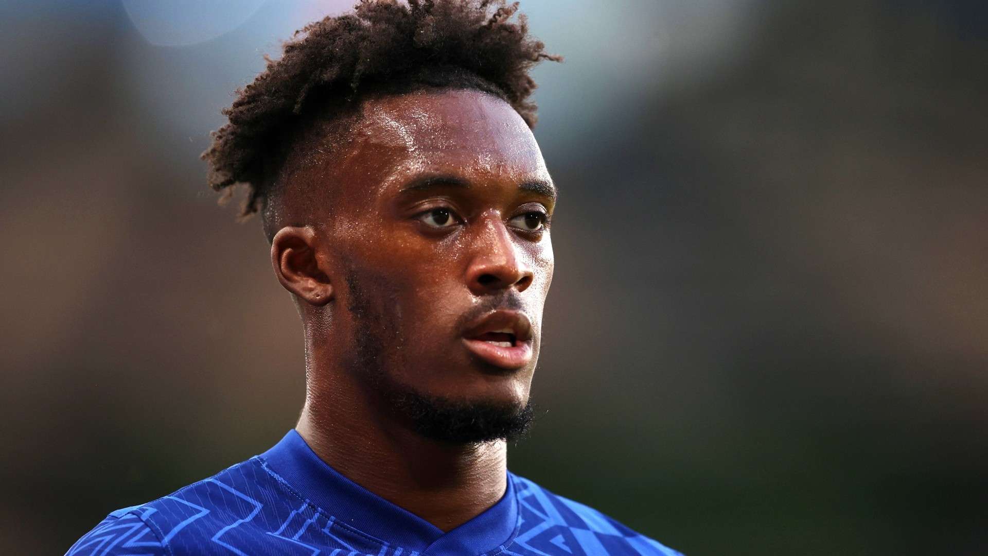 目前也正在 目前也正在