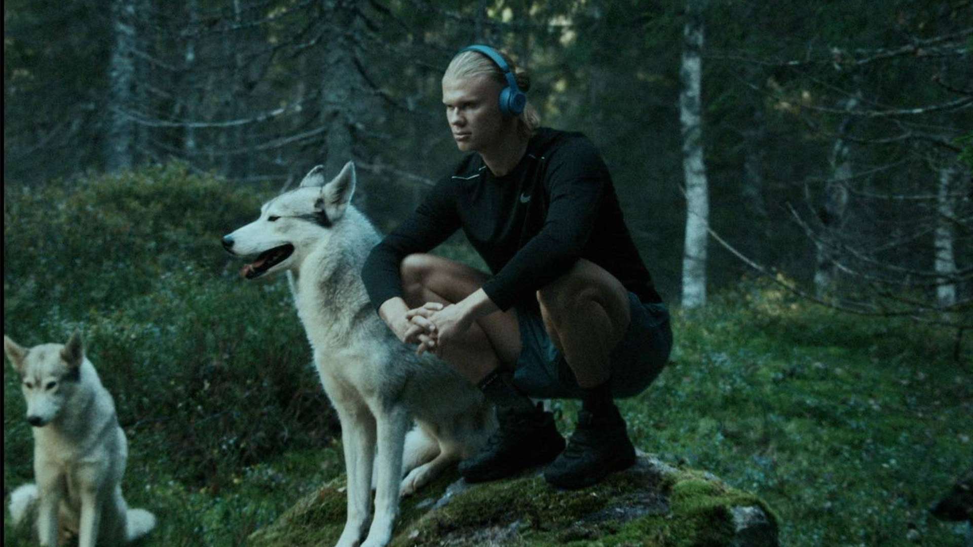 了大場面中 了大場面中